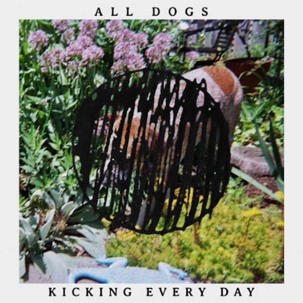 All-Dogs-Kicking-Every-Day