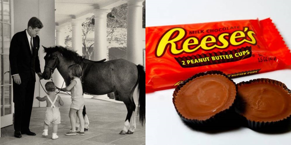 HOJL candy