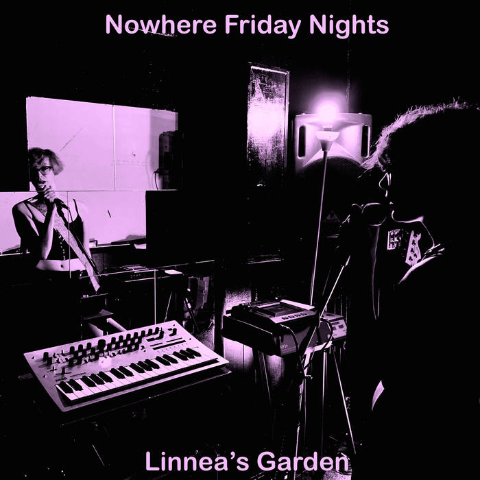 The album cover for Linnea's Garden's "Nowhere Friday Nights," which shows frontwoman/guitarist Linnea Herzog performing in front of a mirror with a dark purple filter over the image