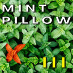 mint pillow