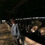 Greg Freeman posing in a barn with a cow